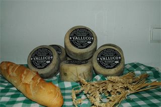 valluco_045