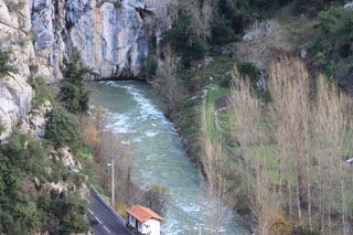 cotera_004