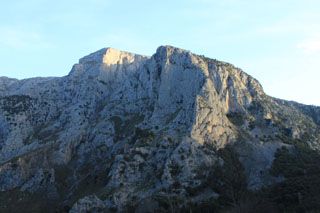 cotera_005
