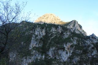 cotera_006