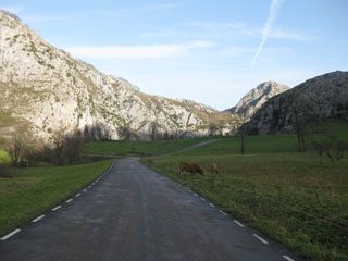 cotera_009