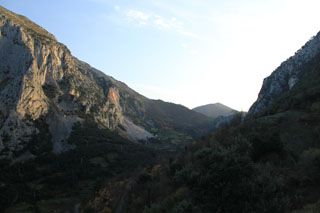 cotera_012
