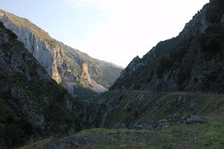 cotera_013