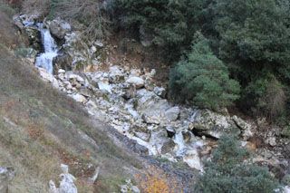 cotera_014