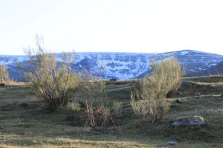 joyanca_014