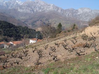 lusia_007