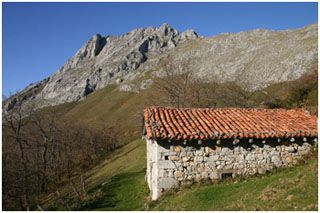 lusia_0_002