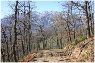 lusia_0_003