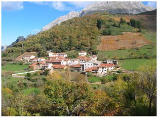 lusia_0_005