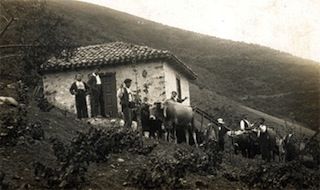 lusia_0_006