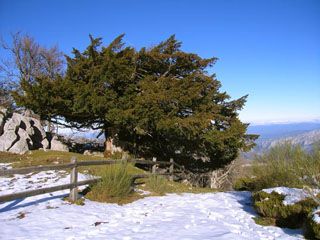 lusia_0_008