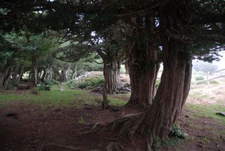 lusia_0_011