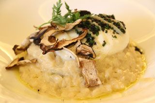 vegetalissimo 2012 023