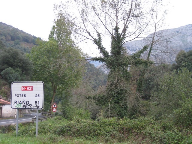 2011 03 andara 001