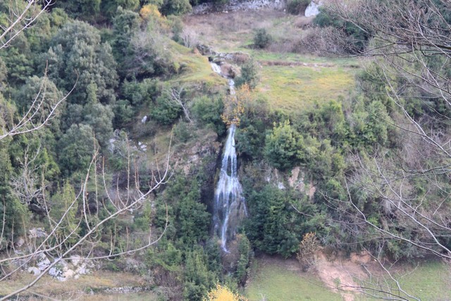 2011 03 andara 001