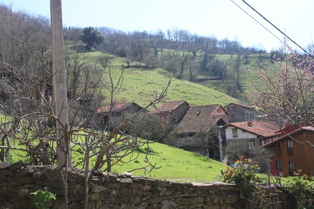 2011 03 andara 006