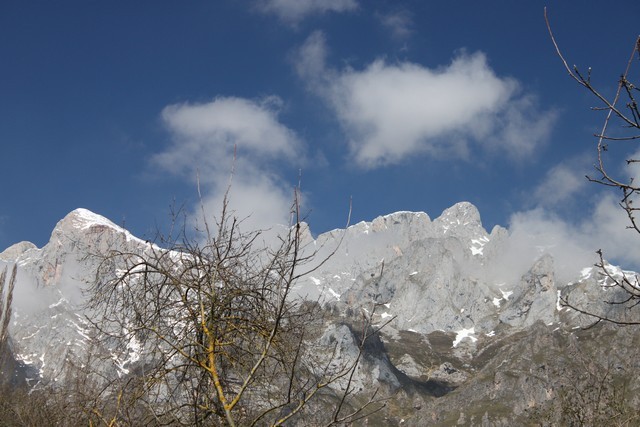 2011 03 andara 006