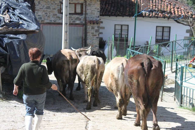 2011 03 andara 010