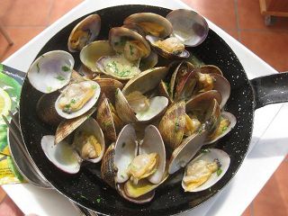 castaneda_012