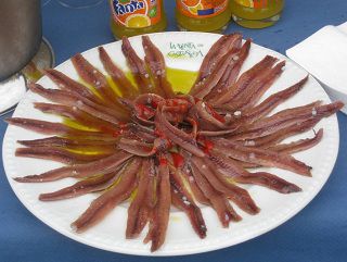 castaneda_017