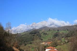 compania_licores_002