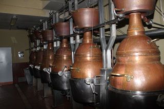 compania_licores_023