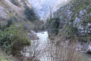 pena_sagra_002