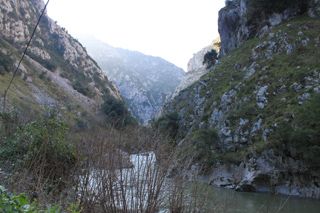 pena_sagra_001