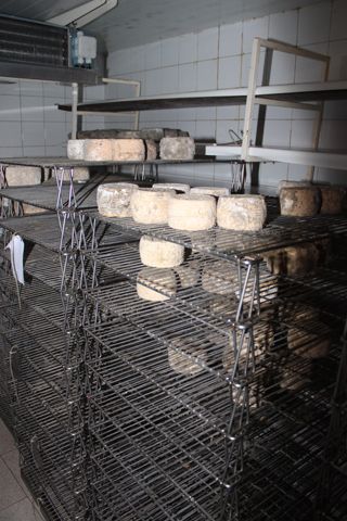 pena_sagra_018