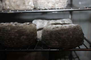 pena_sagra_018