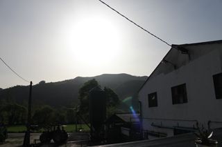 clem_003