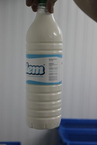 clem_015
