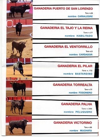 V edicion Toro Sabroso Maremondo