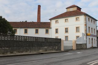 viaceli_01_004