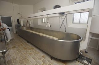 viaceli_01_010