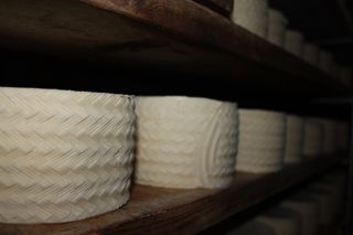 viaceli_01_026