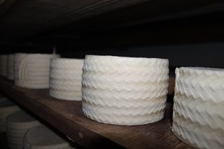 viaceli_01_027