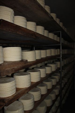 viaceli_01_028