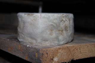 viaceli_01_030