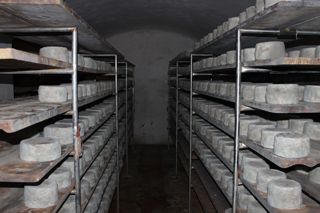 viaceli_01_031