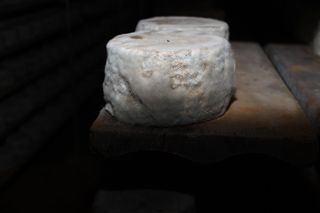 viaceli_01_033