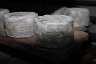 viaceli_01_034