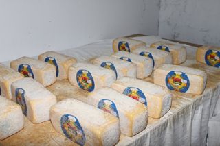 viaceli_01_044