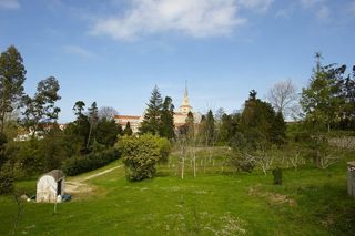 viaceli_con_004