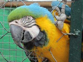 IMG_0346