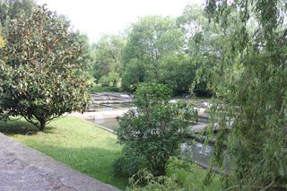 IMG_1208