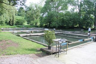 IMG_1211