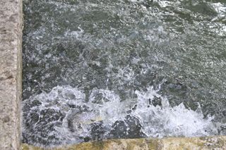IMG_1244