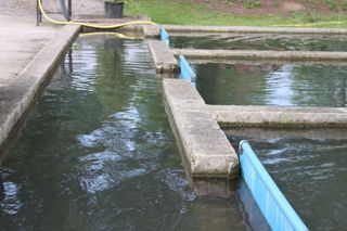 IMG_1281
