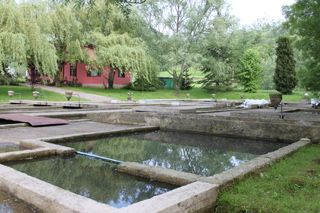 IMG_1284